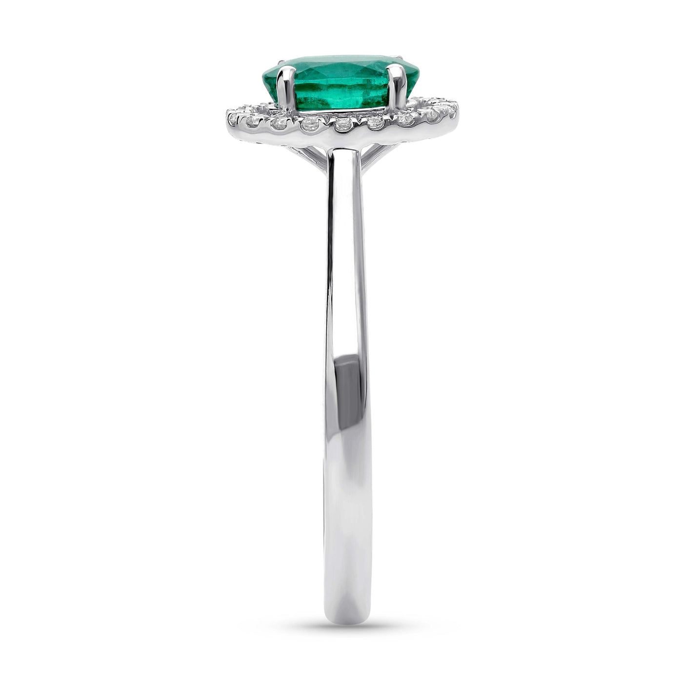 Haloire Ring - WG - Belmont Sparkle