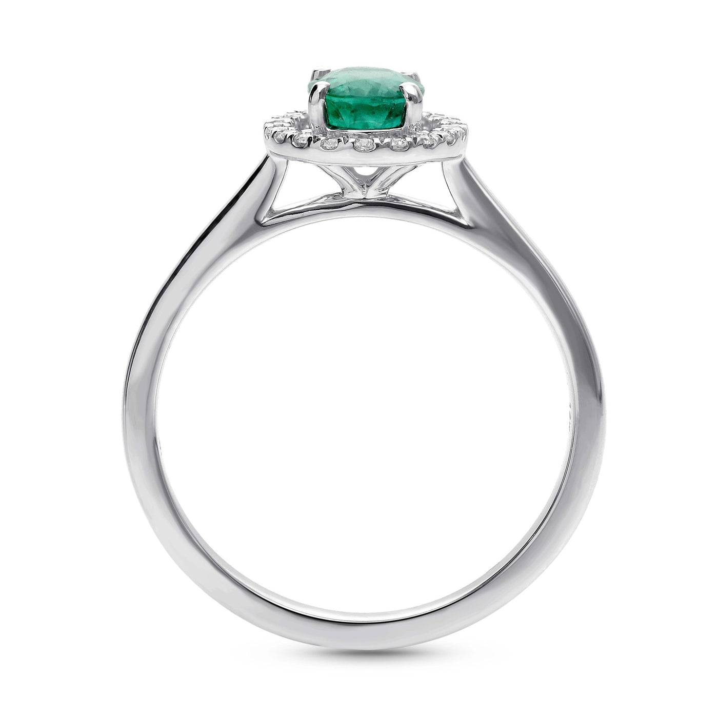 Haloire Ring - WG - Belmont Sparkle