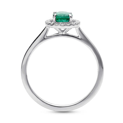 Haloire Ring - WG - Belmont Sparkle